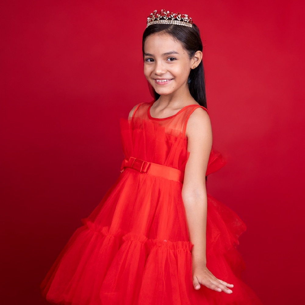 Puffy tutu Tulle Dress with Detachable Train Girl Birthdays,  flower girl.